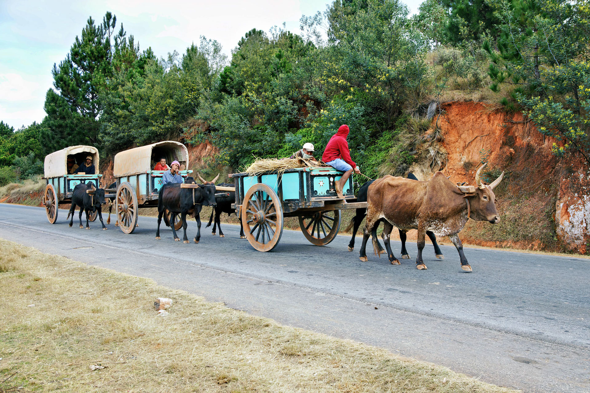 CO2-armes Fahren am südlichen Stadtrand von Antanarivo